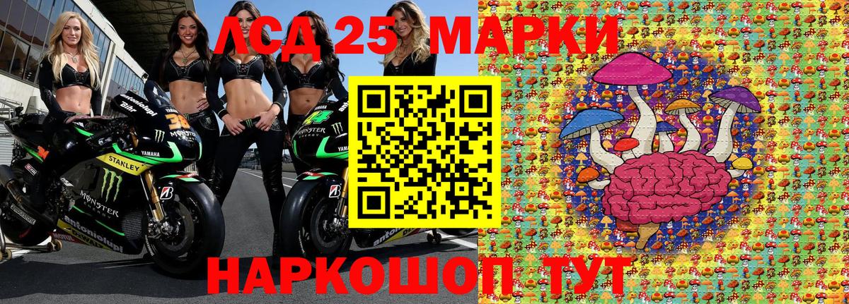 Наркотические марки 1,5мг  Вход с VPN  Гатчина 