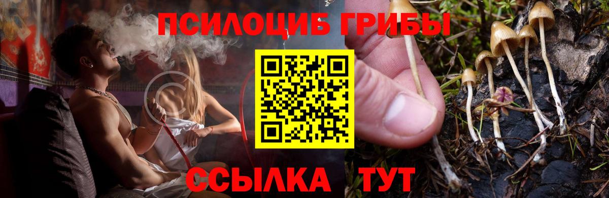Галлюциногенные грибы мухоморы  Галлюциногенные грибы GOLDEN TEACHER  Гатчина  Вход с VPN 